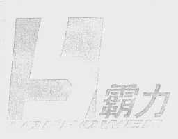 霸力   TOPPOWER