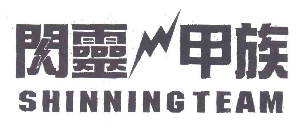 闪灵甲族;SHINING TEAM