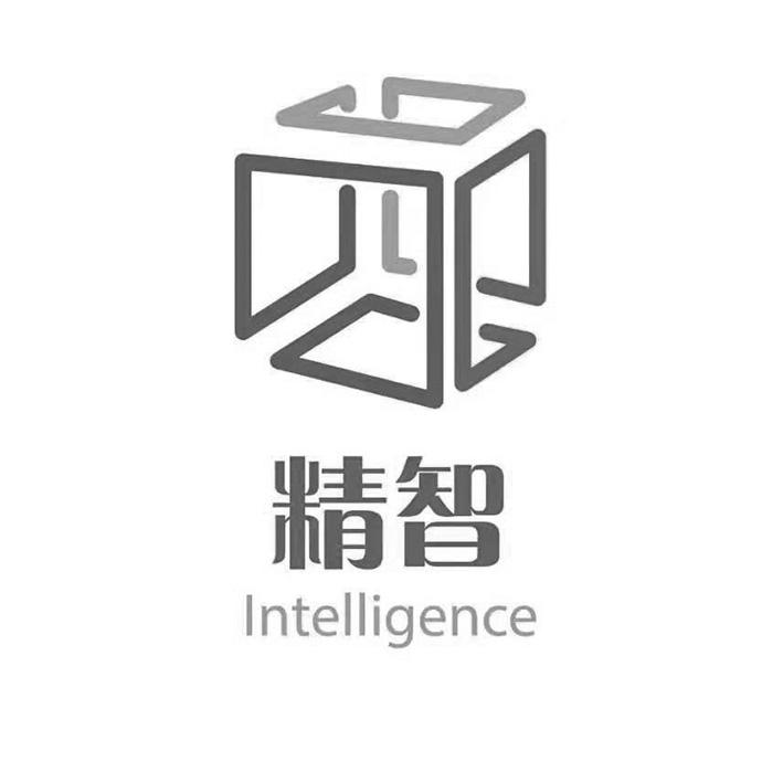 精智 INTELLIGENCE