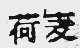 荷麦