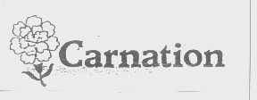 CARNATION
