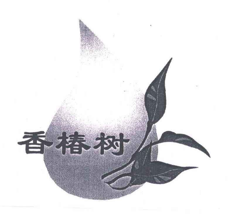 香椿树