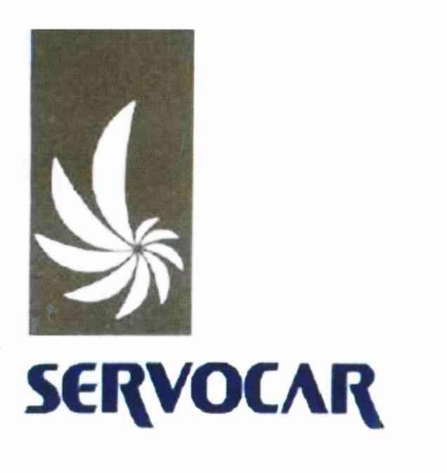 SERVOCAR