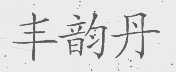丰韵丹