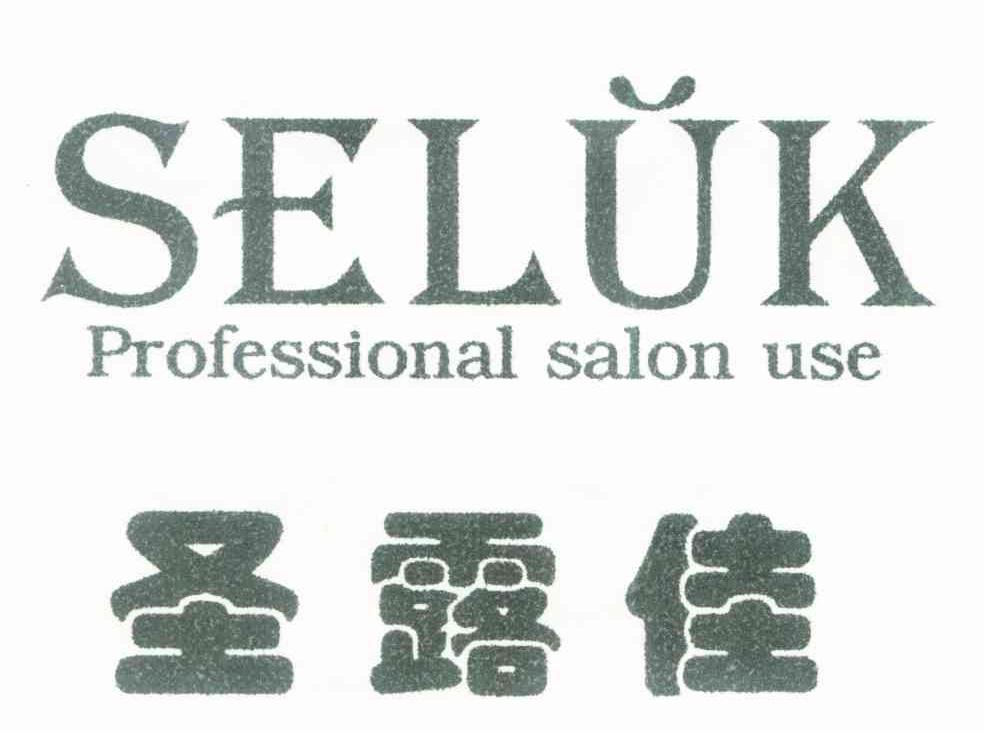 圣露佳 SELUK PROFESSIONAL SALON USE