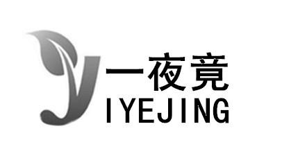 一夜竞