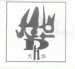 大华