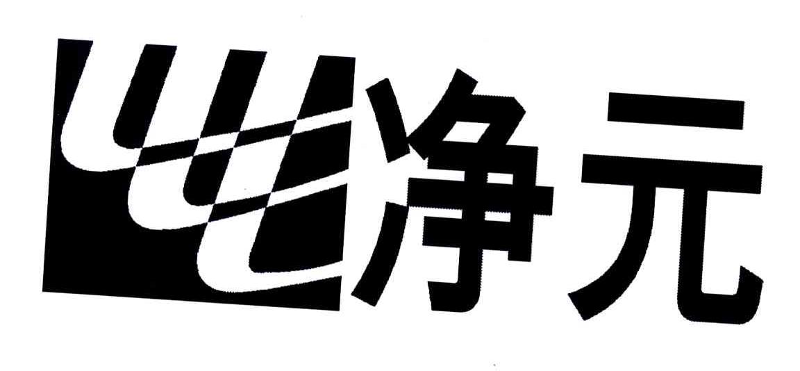 净元