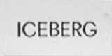 ICEBERG