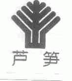 芦笋