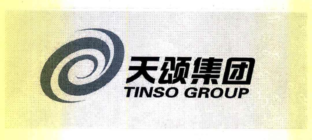 天颂集团 TINSO GROUP