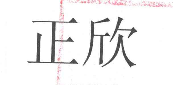 正欣