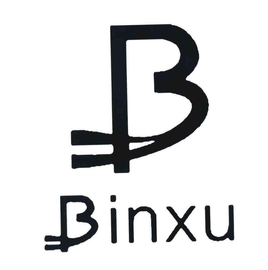 BINXU B