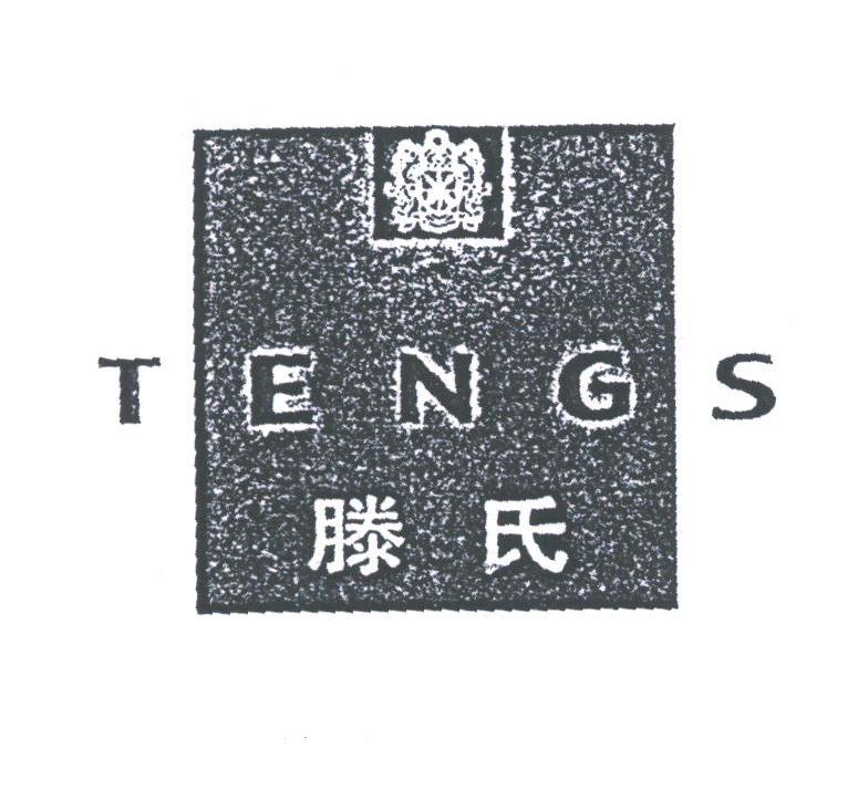 滕氏;TENGS