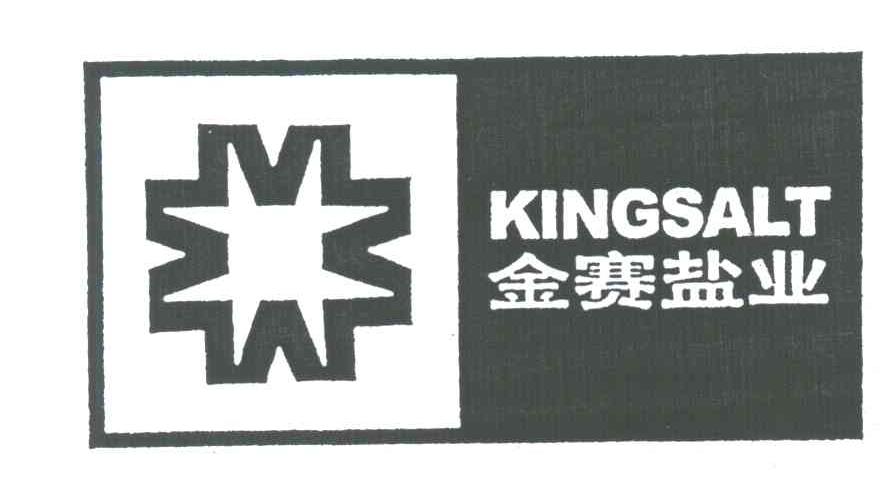 金赛;KINGSALT