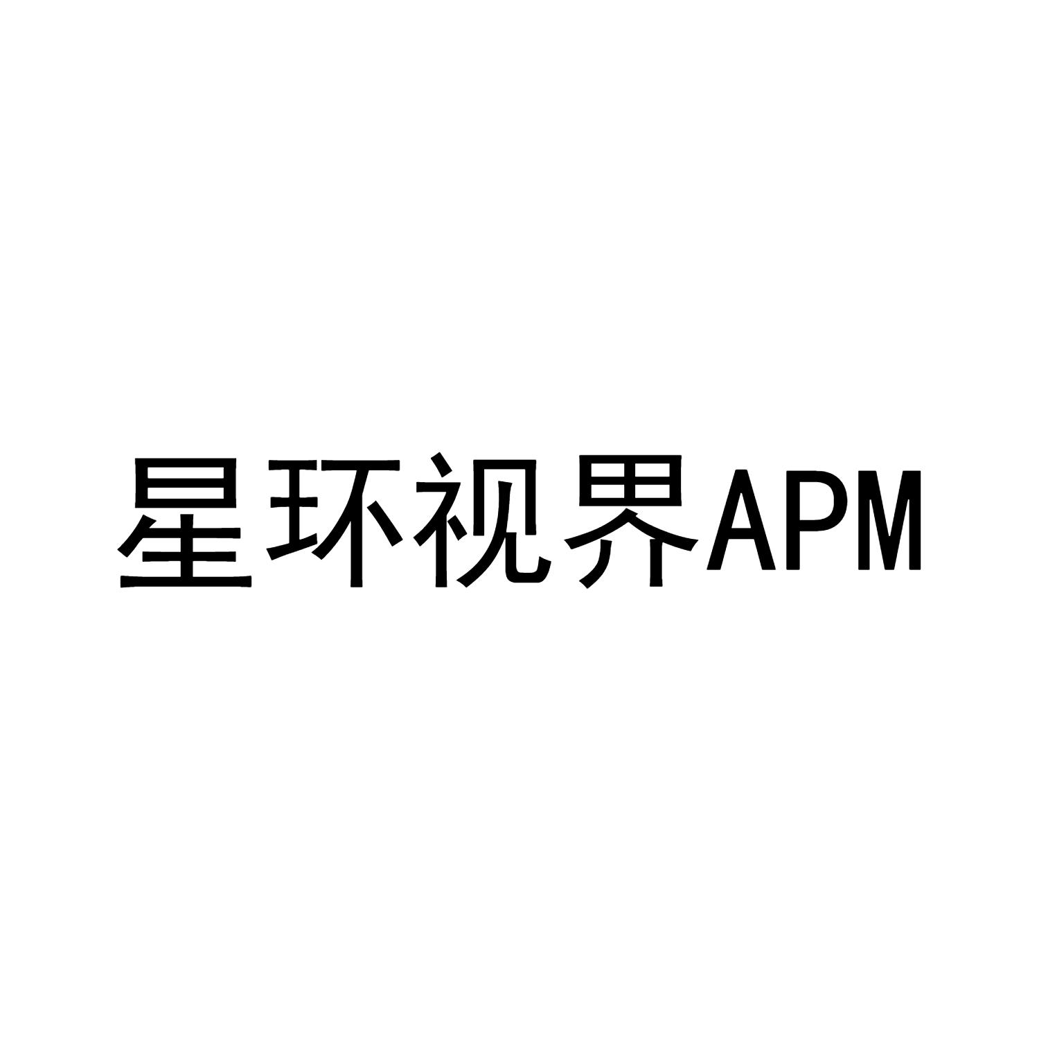 星环视界APM
