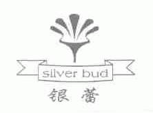 银蕾;SILVER BUD