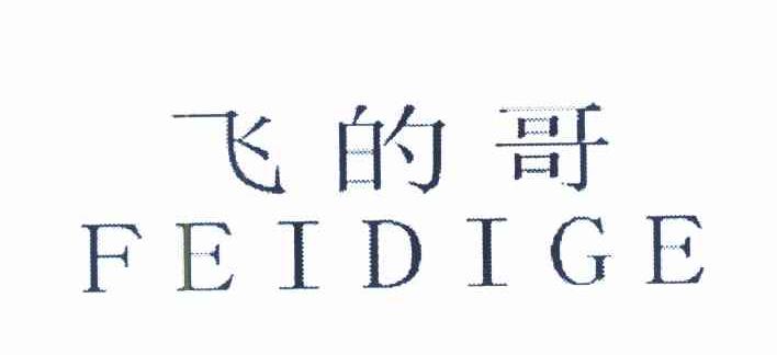 飞的哥
