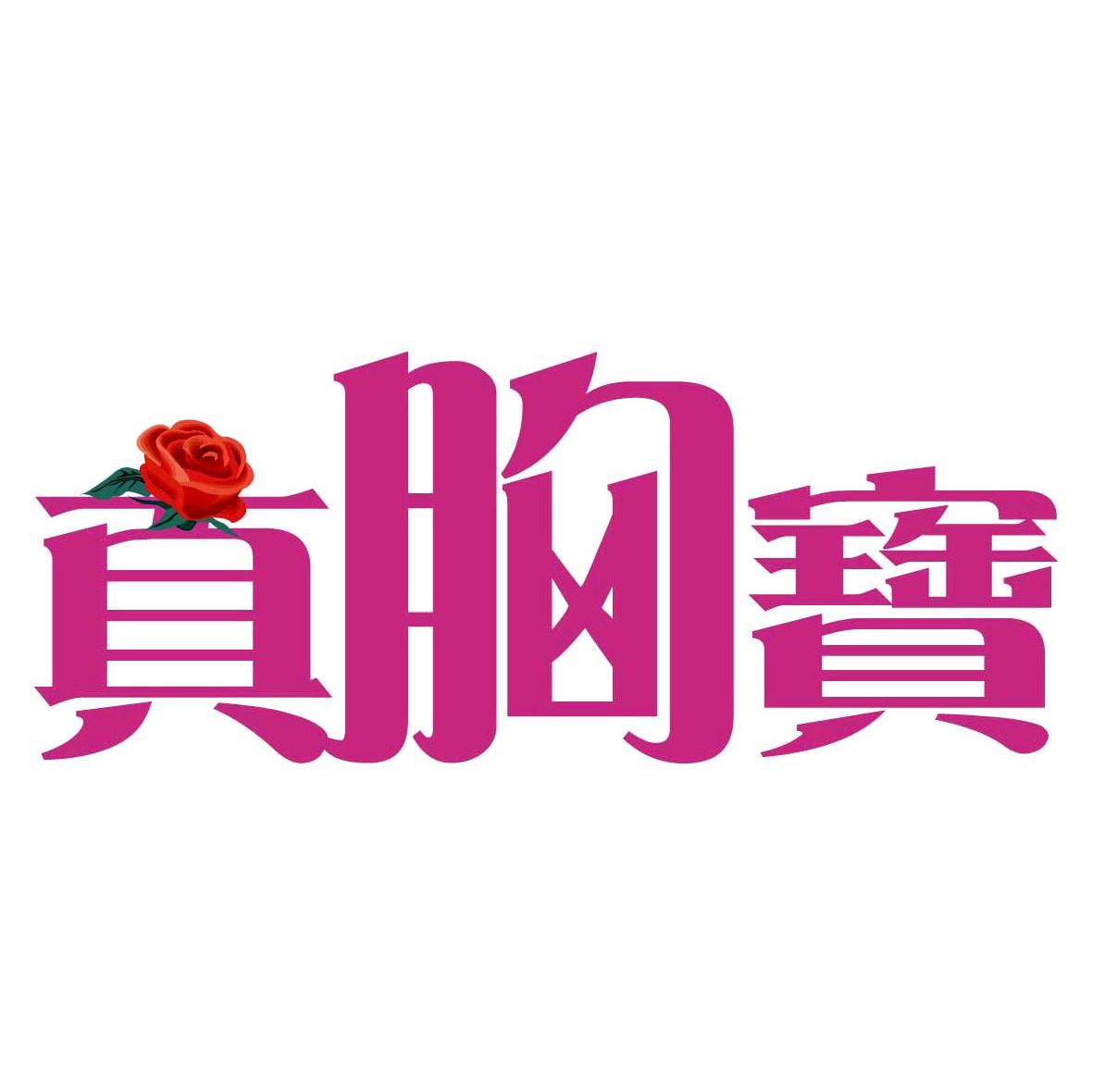 真胸宝