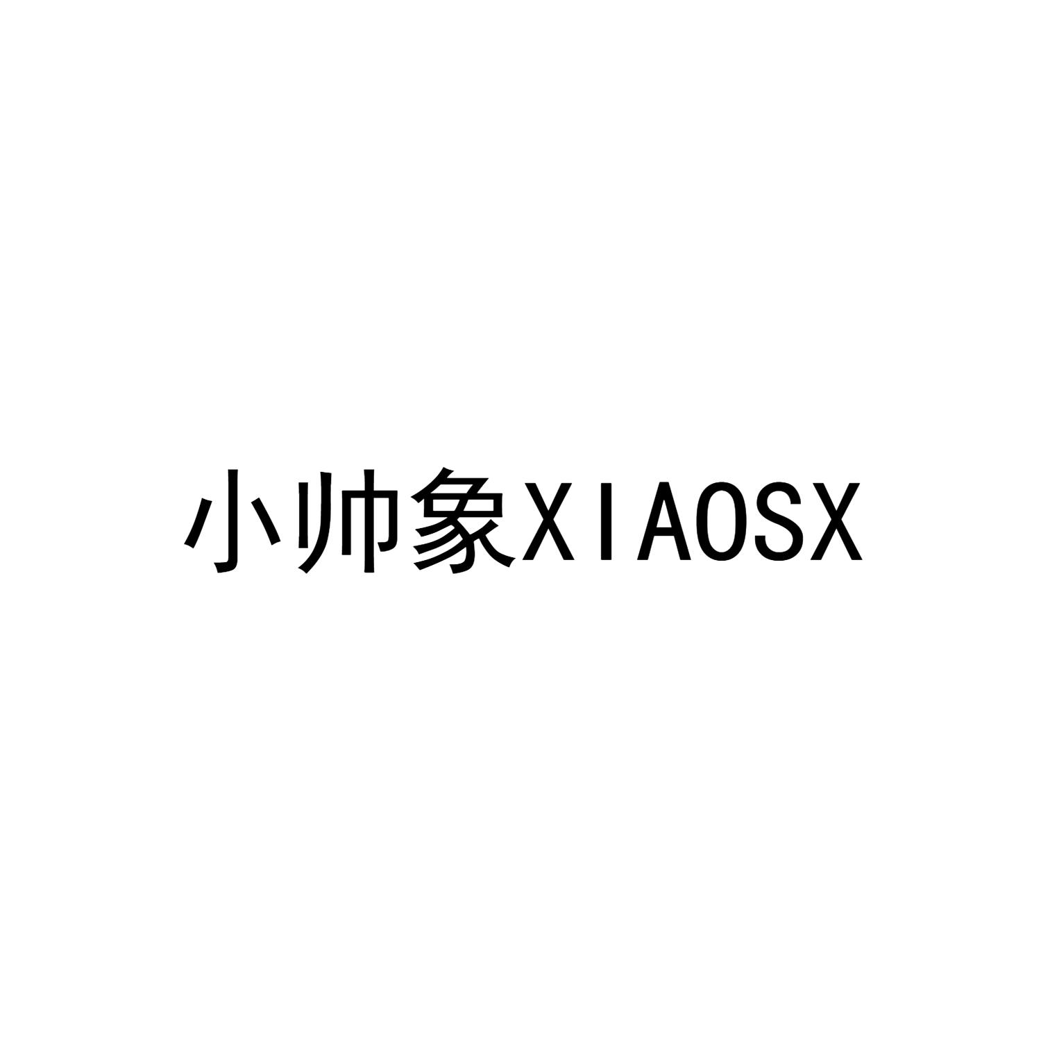 小帅象 XIAOSX