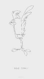 ROAD RUNNER