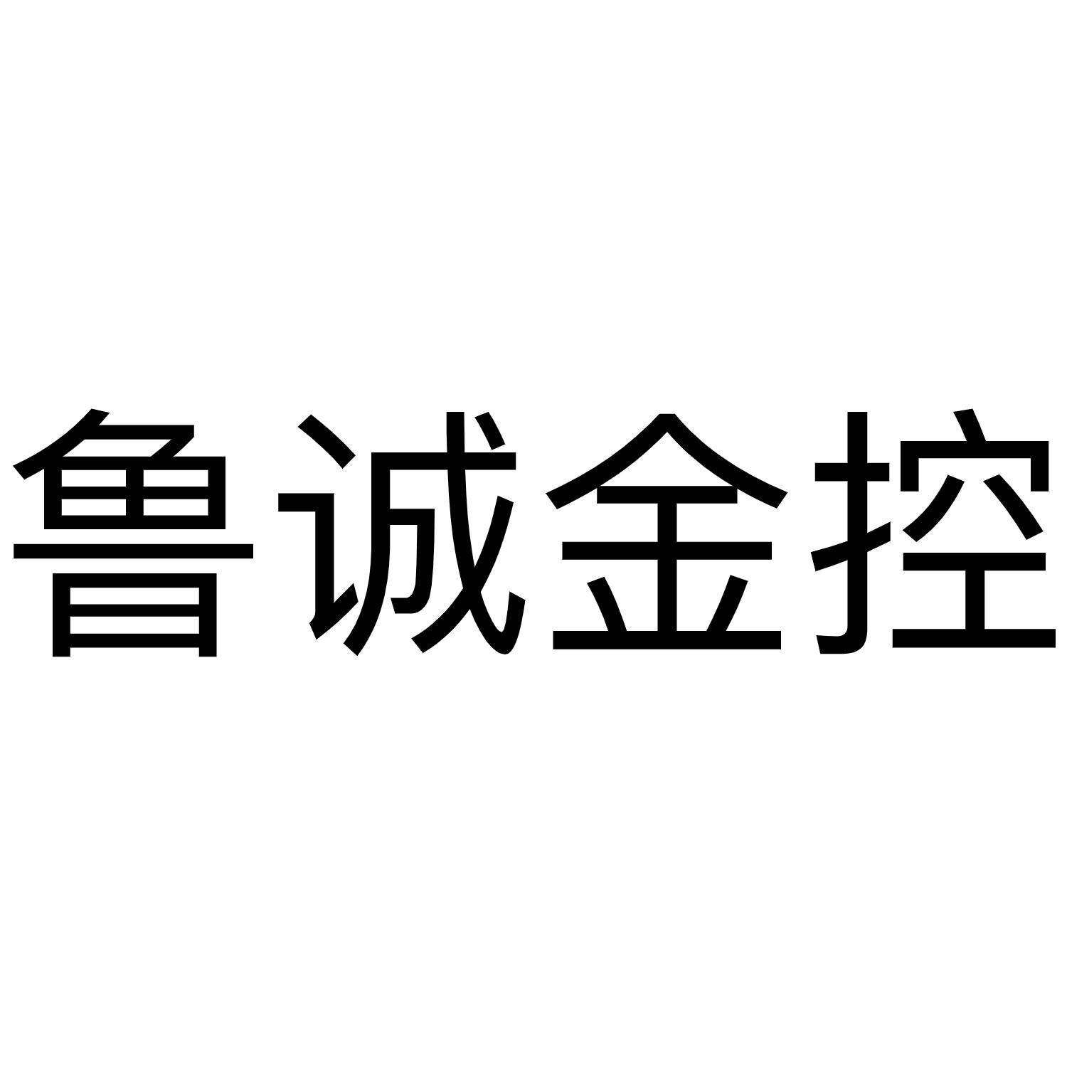 鲁诚金控