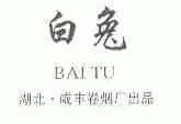 白兔