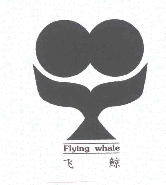 飞鲸;FLYING WHALE