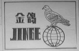 金鸽