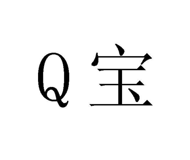 Q 宝