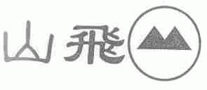 山飞
