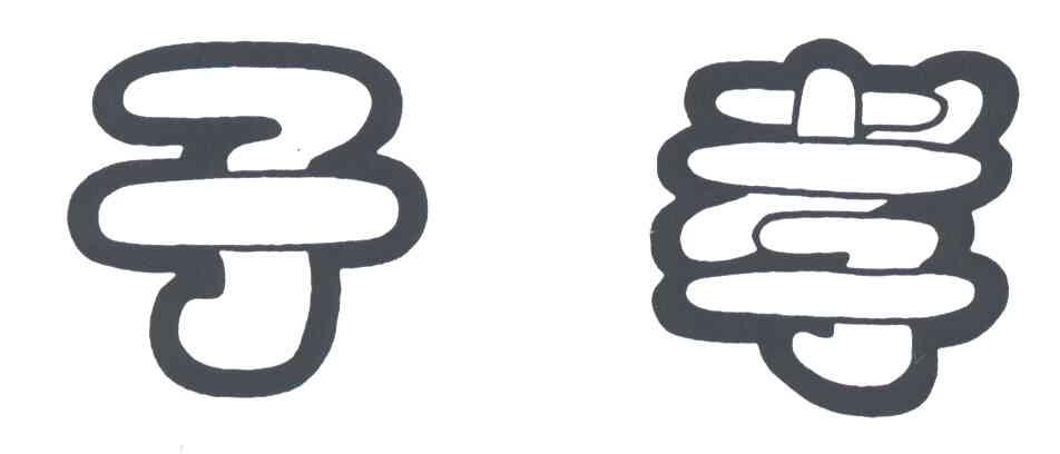 子孝