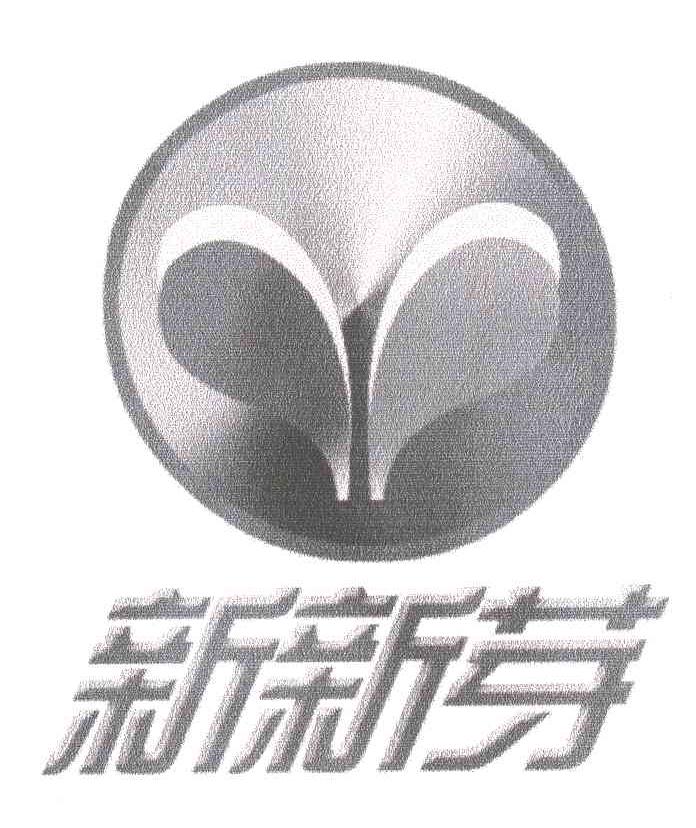 新新芽