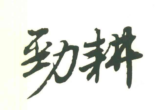 劲耕