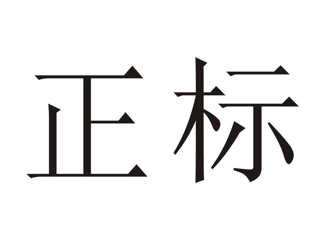 正标