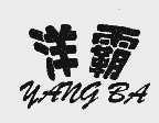 洋霸