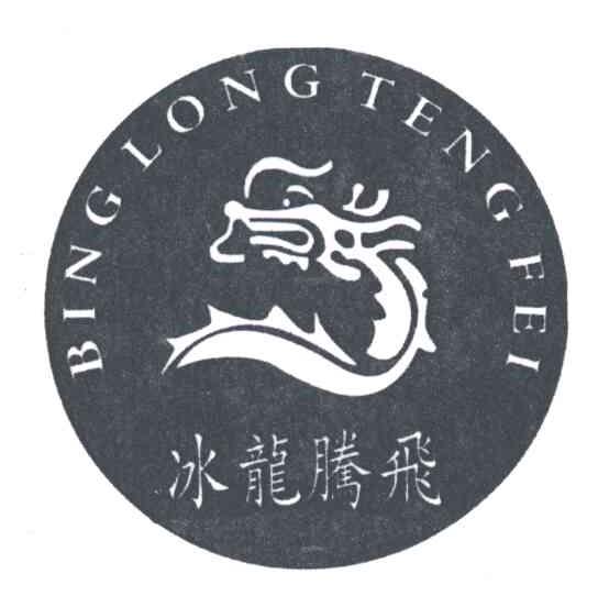 冰龙腾飞;BING LONG TENG FEI