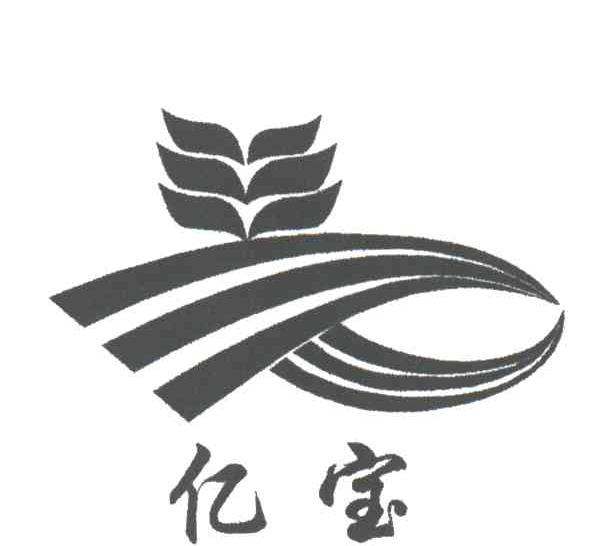 亿宝
