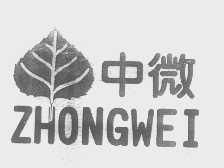 中微