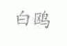 白鸥