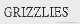 GR IZZLIES