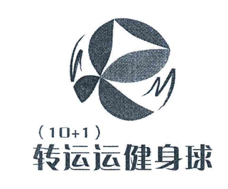 转运运健身球;10+1