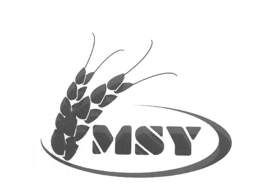 MSY