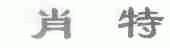 肖特