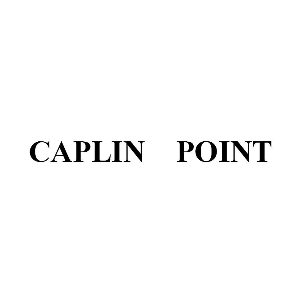 CAPLIN POINT