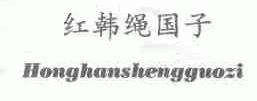 红韩绳国子