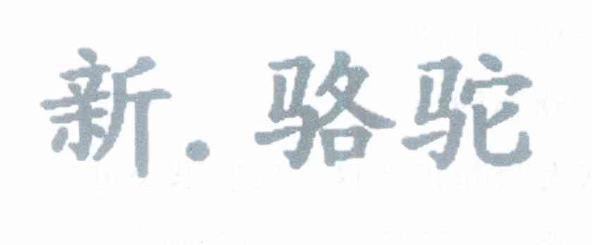 新.骆驼