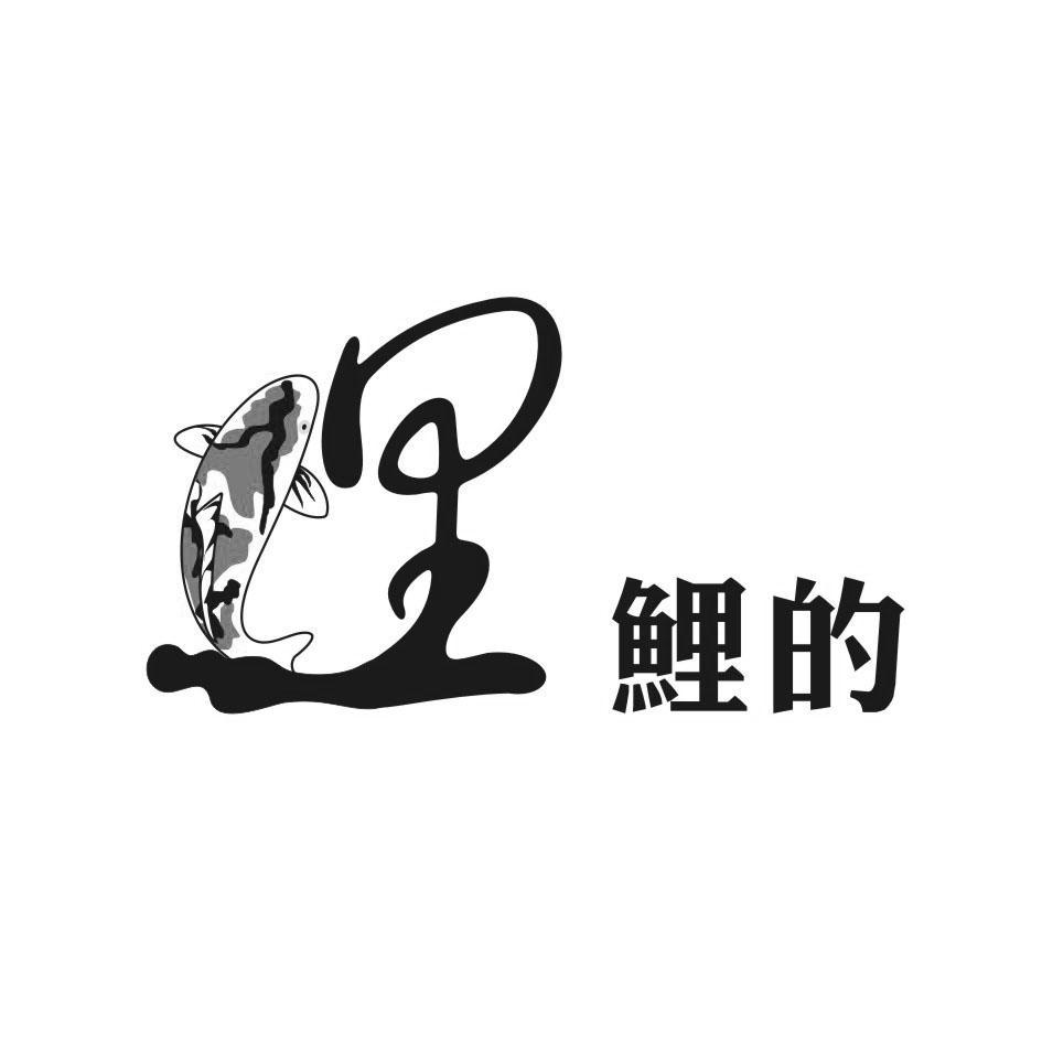 鲤的