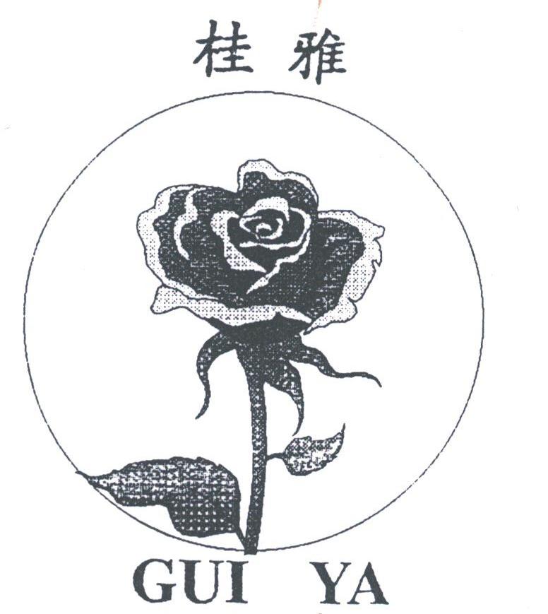 桂雅