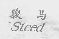 骏马   STEED